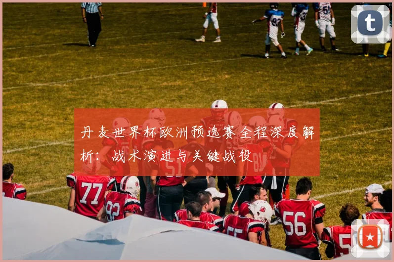 丹麦世界杯欧洲预选赛全程深度解析：战术演进与关键战役