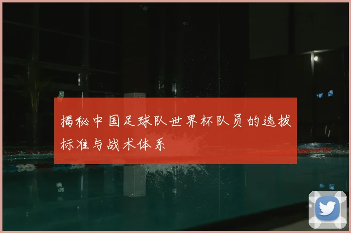 揭秘中国足球队世界杯队员的选拔标准与战术体系