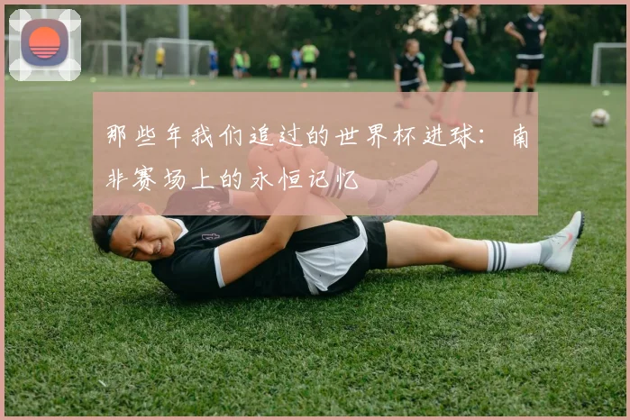 那些年我们追过的世界杯进球：南非赛场上的永恒记忆