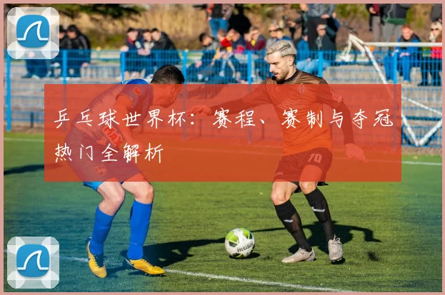 乒乓球世界杯：赛程、赛制与夺冠热门全解析