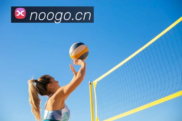 kaiyun网页登录APP 封面图